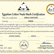 Egyptian Cotton 